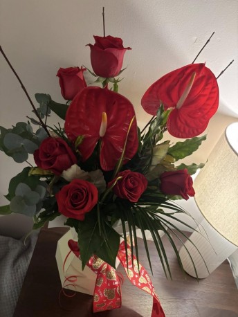 Please Edit (1769691730)