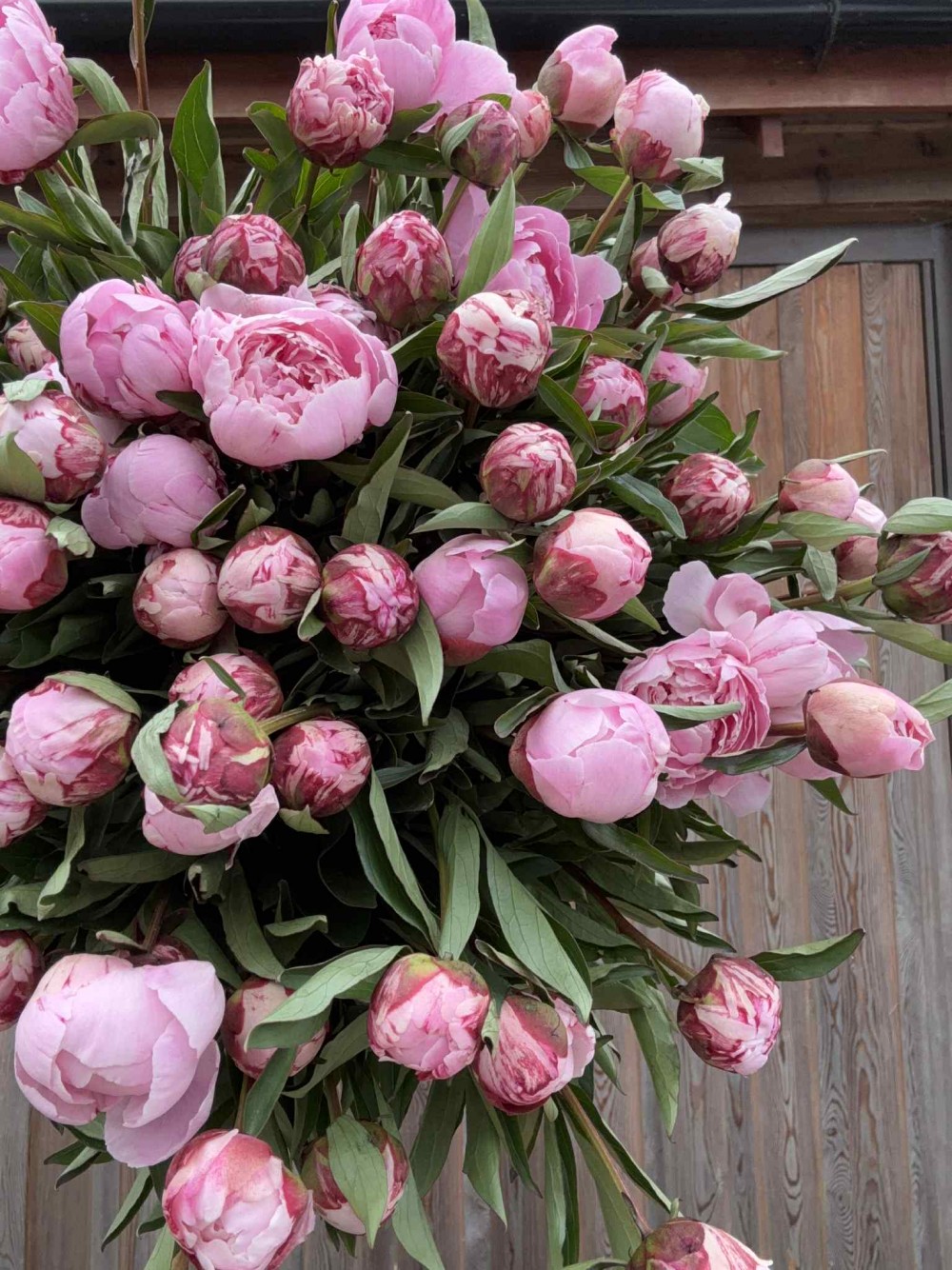 florist choice peony bouquet